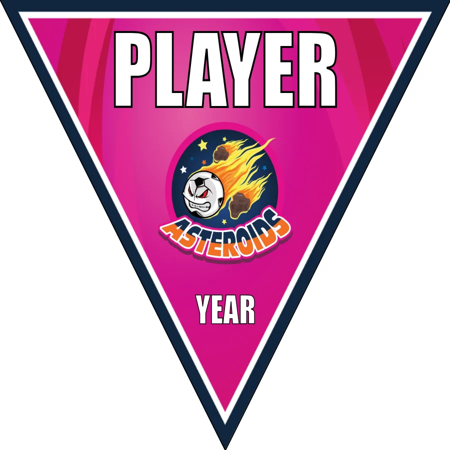 Asteroids 2 Soccer Banner-soccer-banners-visalia-ca-picture