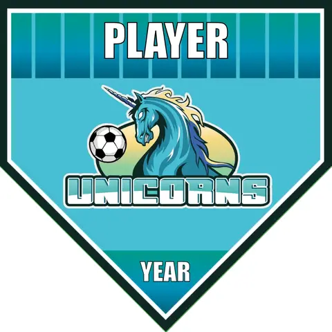 Unicorns 2 Soccer Banner-soccer-banner-picture