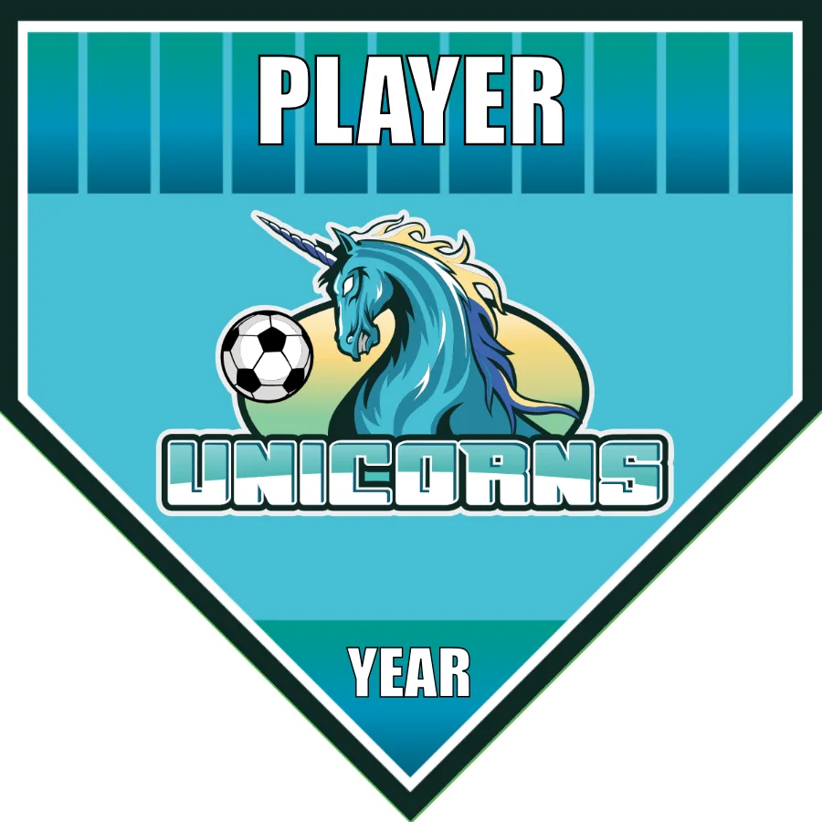 Unicorns 2 Soccer Banner-soccer-banner-picture