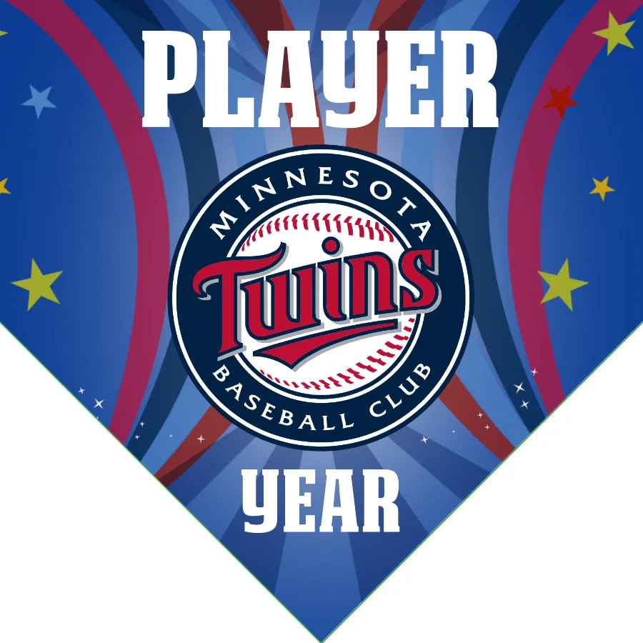 Minnesota 3 Baseball Banner-baseball-banner-slogans-images