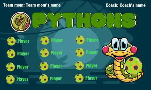 Pythons 2 Soccer Banner-soccer-banner-images