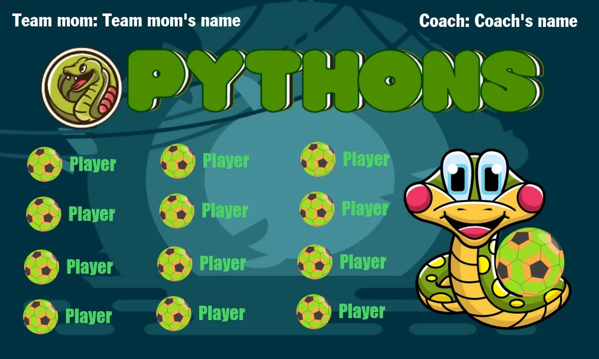 Pythons 2 Soccer Banner-soccer-banner-images