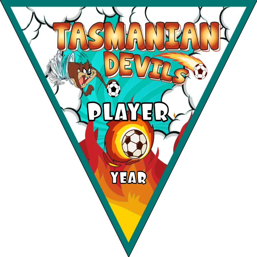Tasmanian Devils Soccer Banner,-homemade-soccer-banner-ideas-picture