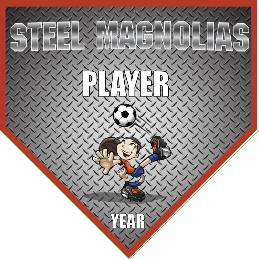 STEEL MAGNOLIAS 1 Soccer Banner-soccer-banner-picture