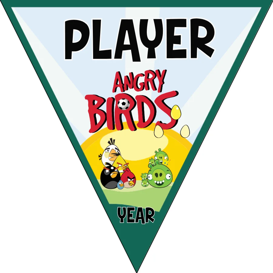 Angry Birds 2 Soccer Banner-soccer-banners-sacramento-picture
