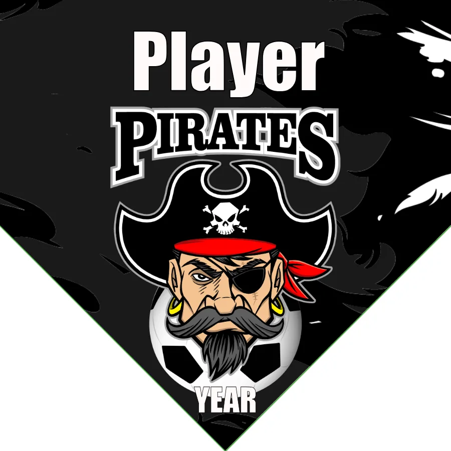 Pirates 1 Soccer Banner-soccer-team-banners-ayso-picture