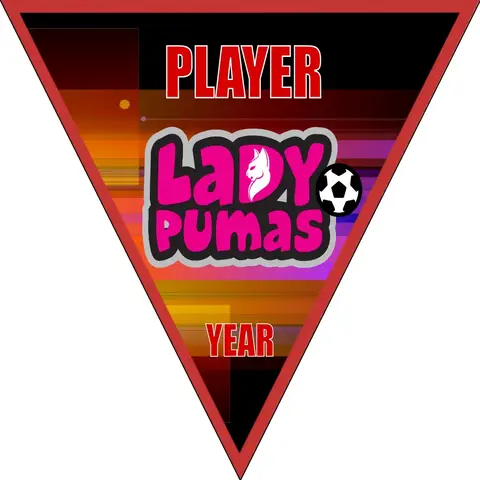 Ladypumas Soccer Banner-homemade-soccer-banner-ideas-picture