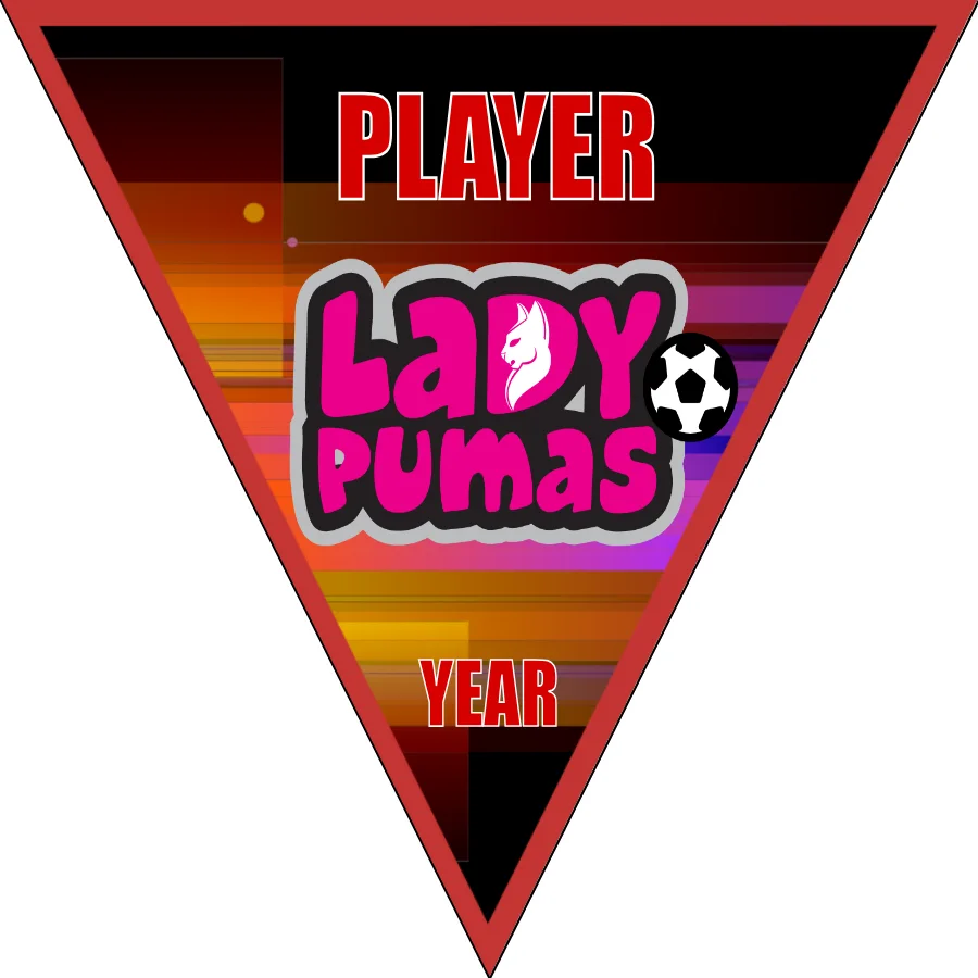 Ladypumas Soccer Banner-homemade-soccer-banner-ideas-picture