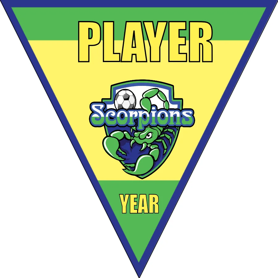 Scorpions 2 Soccer Banner-soccer-banner-ideas-picture