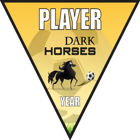Dark Horses 1 Soccer Banner-soccer-birthday-banners-picture