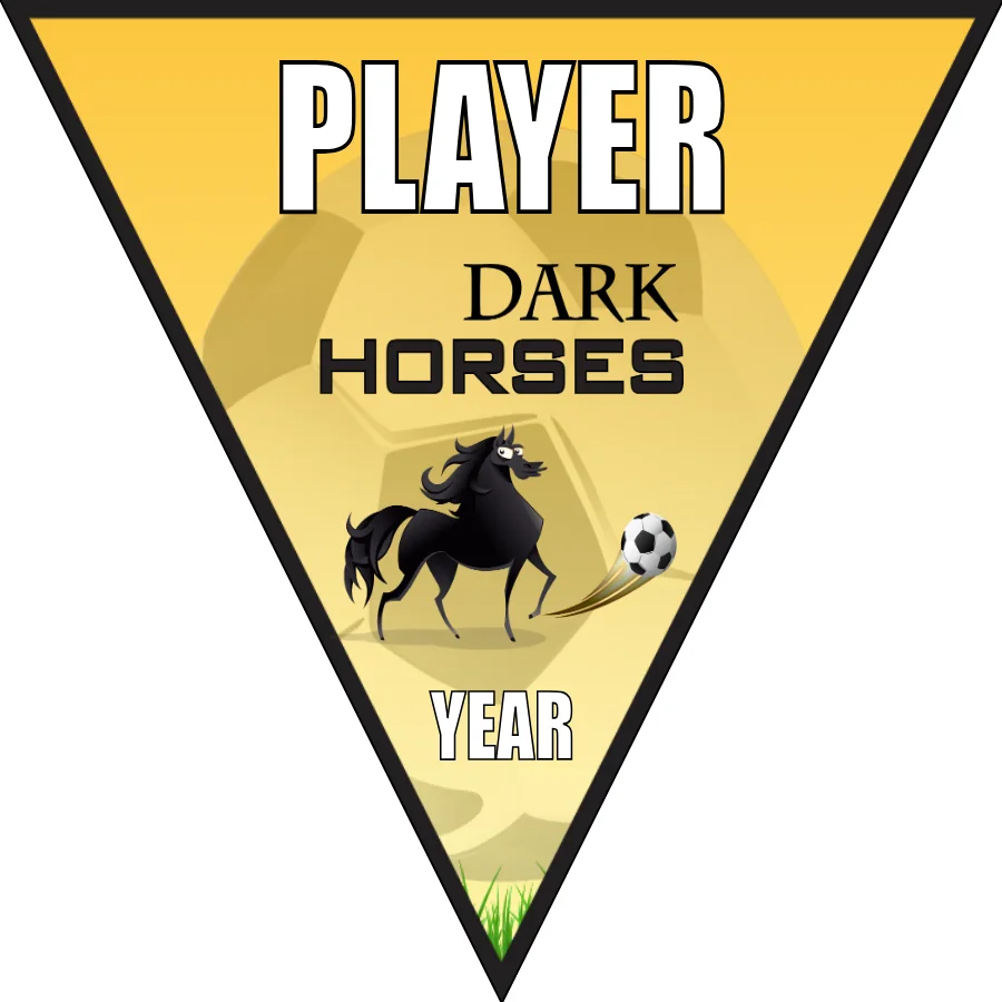 Dark Horses 1 Soccer Banner-soccer-birthday-banners-picture