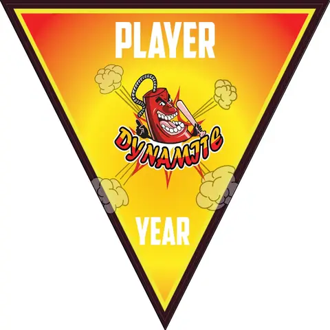 Dynamite 3-yellow-brown-triangle-softball-banner-cost-images