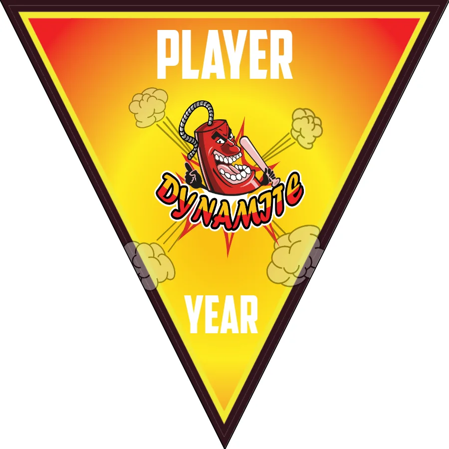 Dynamite 3-yellow-brown-triangle-softball-banner-cost-images