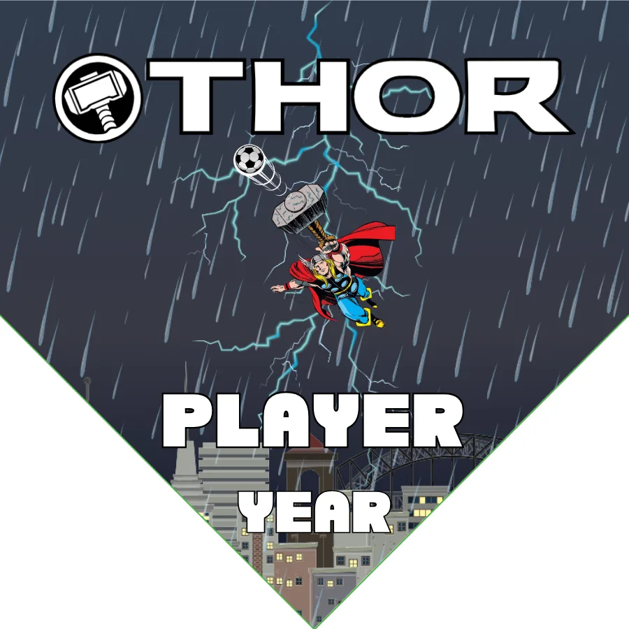 Thor Soccer Banner-soccer-banners-los-angeles-picture