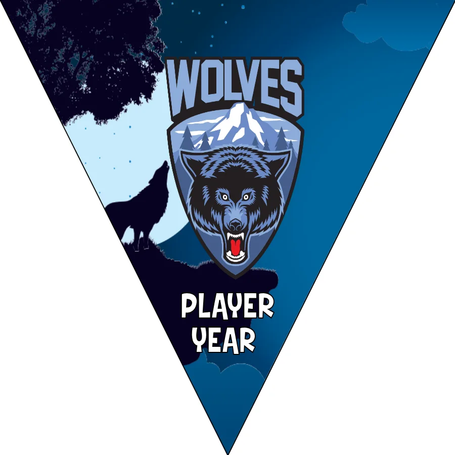 Wolves 2 Soccer Banner,-soccer-party-banner-picture