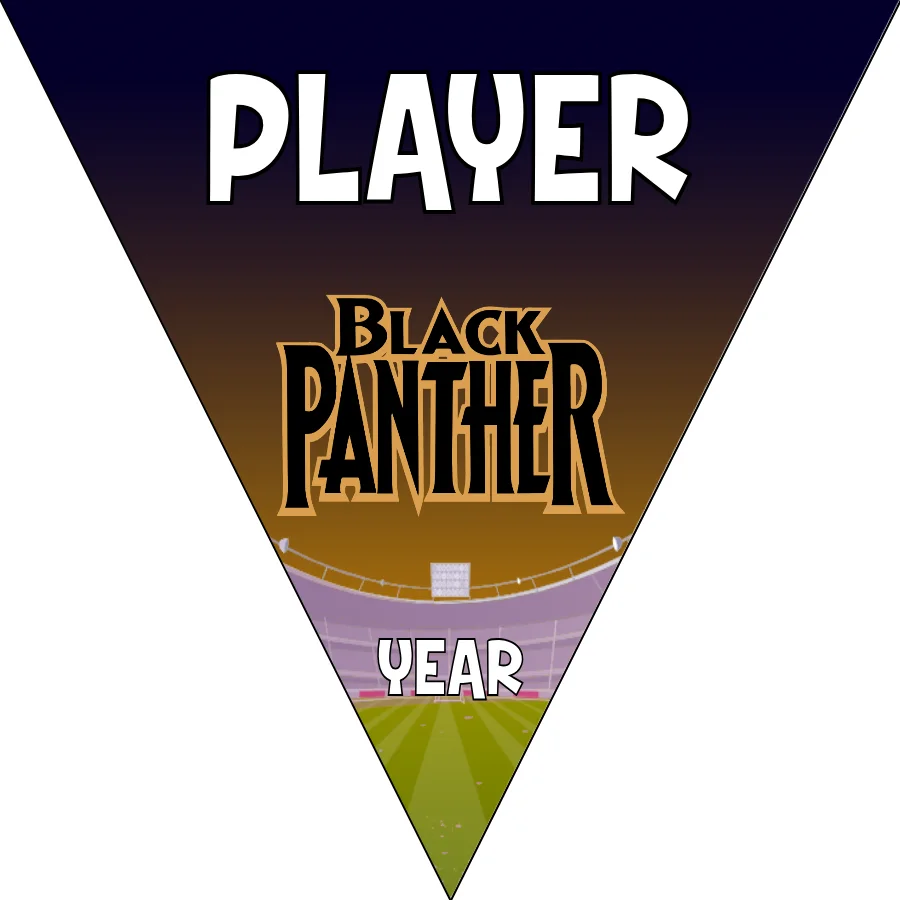 Black Panther Soccer Banner-homemade-soccer-banner-ideas-picture