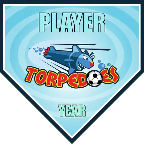 Torpedoes 3 Soccer Banner-soccer-party-banner-picture