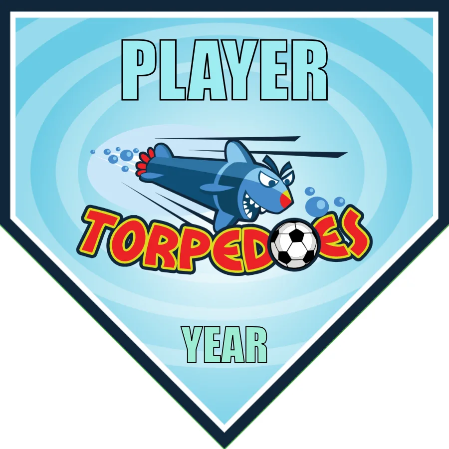 Torpedoes 3 Soccer Banner-soccer-party-banner-picture