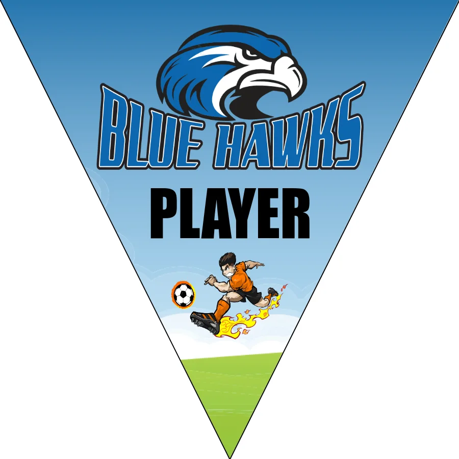 Blue Hawks Soccer Banner-soccer-banners-picture
