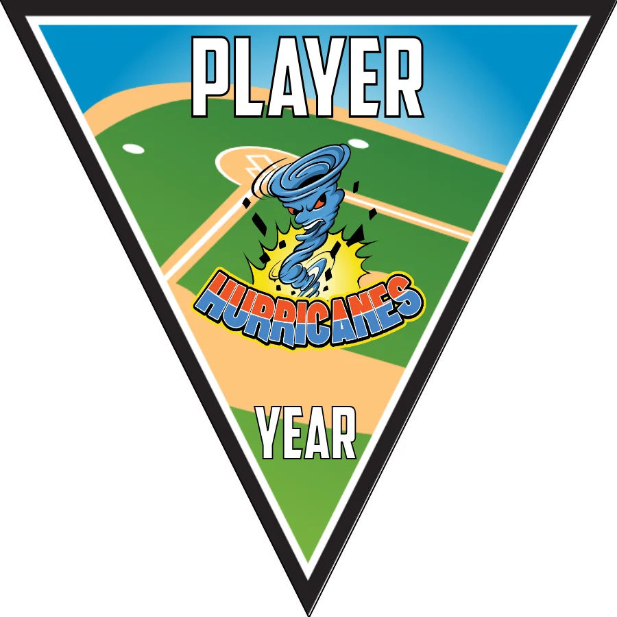 Hurricanes2-blue-red-triangle-softball-banners-with-pictures-picture