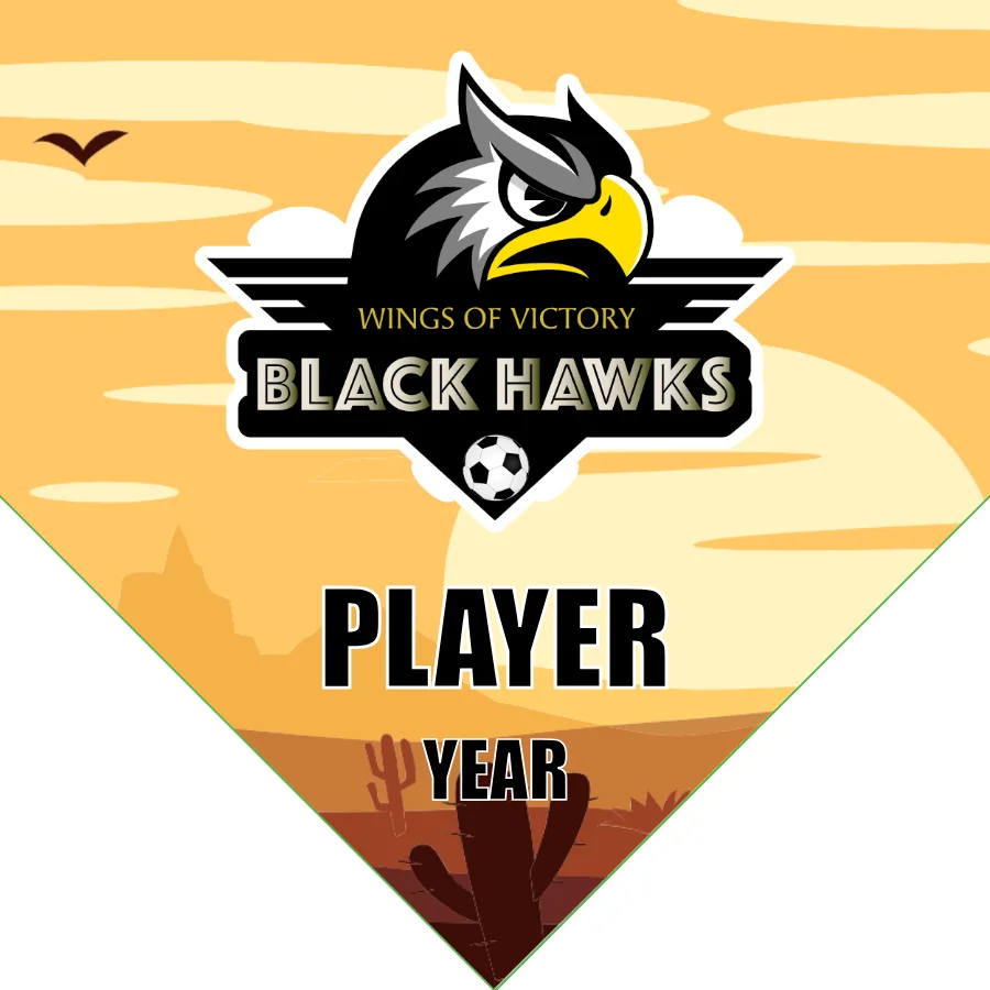 Black hawks Soccer Banner-soccer-themed-birthday-banner-picture