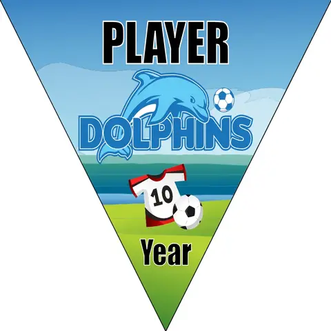 Dolphins Soccer Banner-soccer-banners-picture
