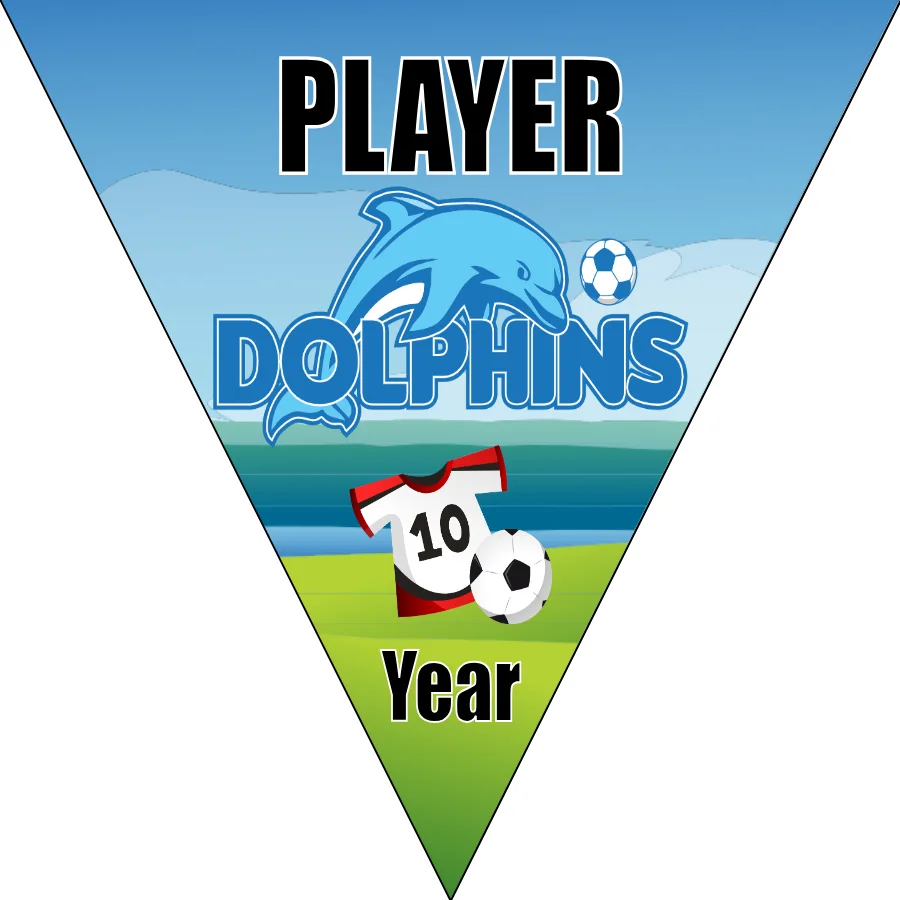 Dolphins Soccer Banner-soccer-banners-picture
