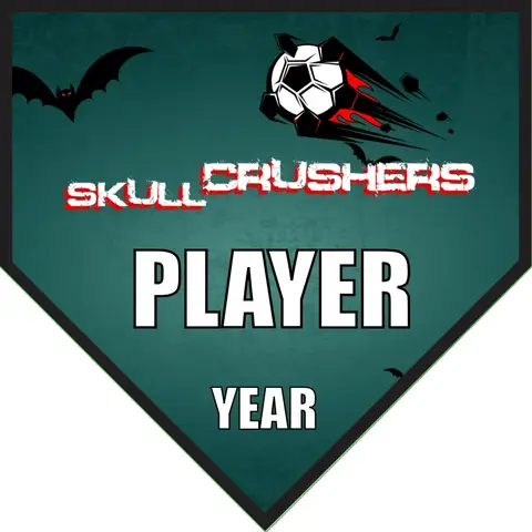 Crushers Skull Soccer Banner-soccer-ball-banner-picture
