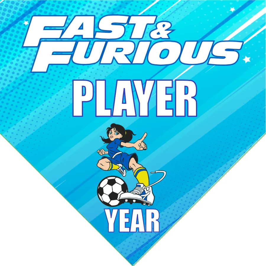 Fast And Furious Soccer Banner-soccer-banner-pole-kit-picture