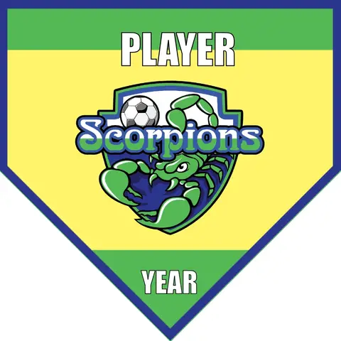 Scorpions 2 Soccer Banner-soccer-banners-and-flags-picture