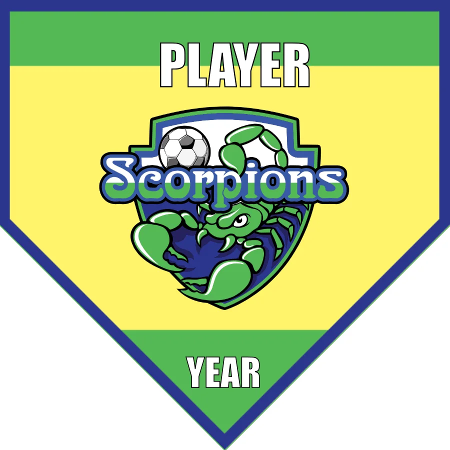Scorpions 2 Soccer Banner-soccer-banners-and-flags-picture