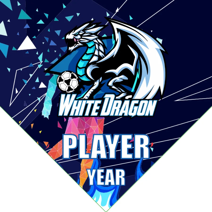 White Dragon Soccer Banner-soccer-banners-santa-ana-ca-picture