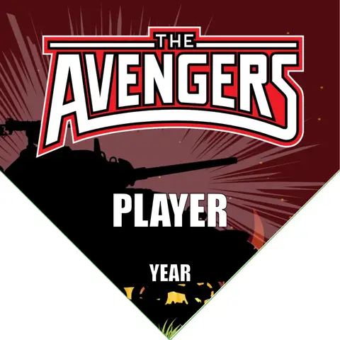 Avengers 2 Soccer Banner-soccer-banner-companies-picture