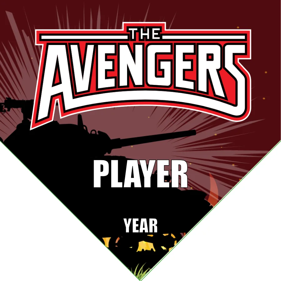 Avengers 2 Soccer Banner-soccer-banner-companies-picture