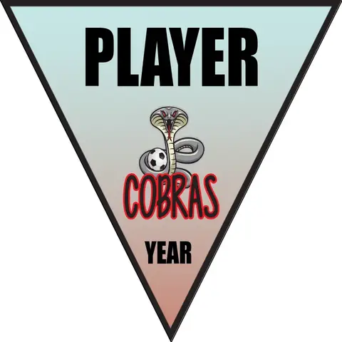 Cobras 1 Soccer Banner-soccer-spirits-coupon-banner-picture