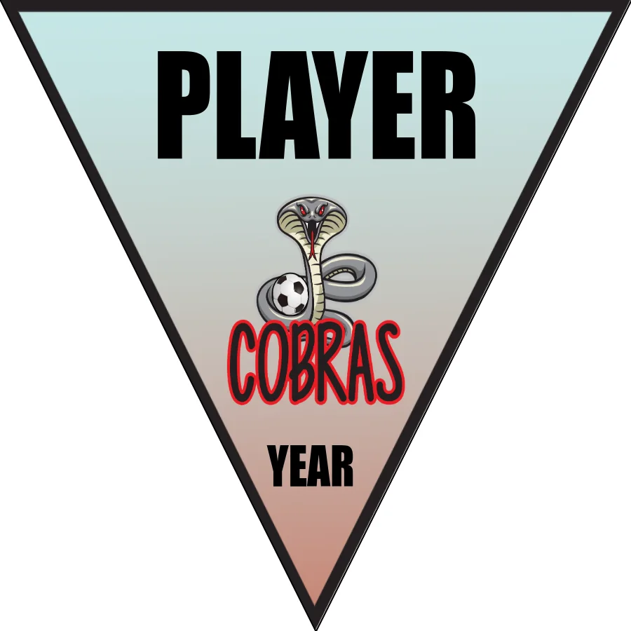 Cobras 1 Soccer Banner-soccer-spirits-coupon-banner-picture
