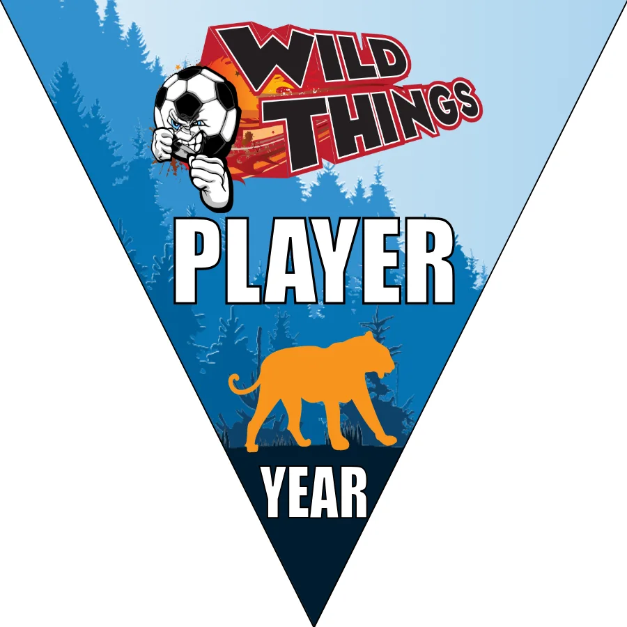 Wild Things Soccer Banner-soccer-banner-picture