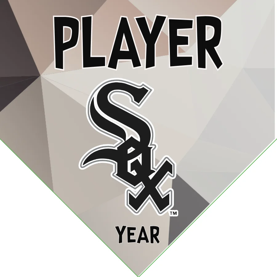 Sox Baseball Banner-baseball-banner-cost-images