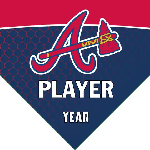 Braves 1 Baseball Banner-baseball-banner-sayings-images