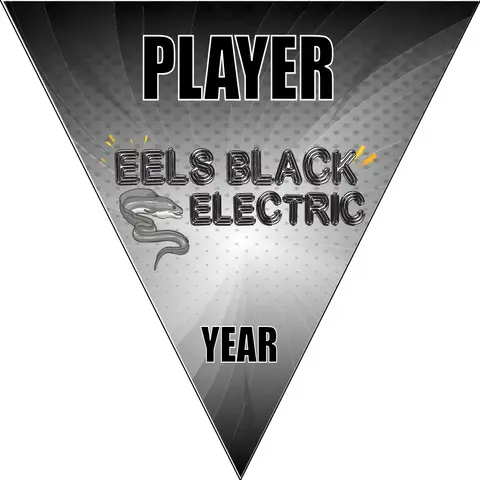 Eels Black Electric Soccer Banner-nike-soccer-banner-picture