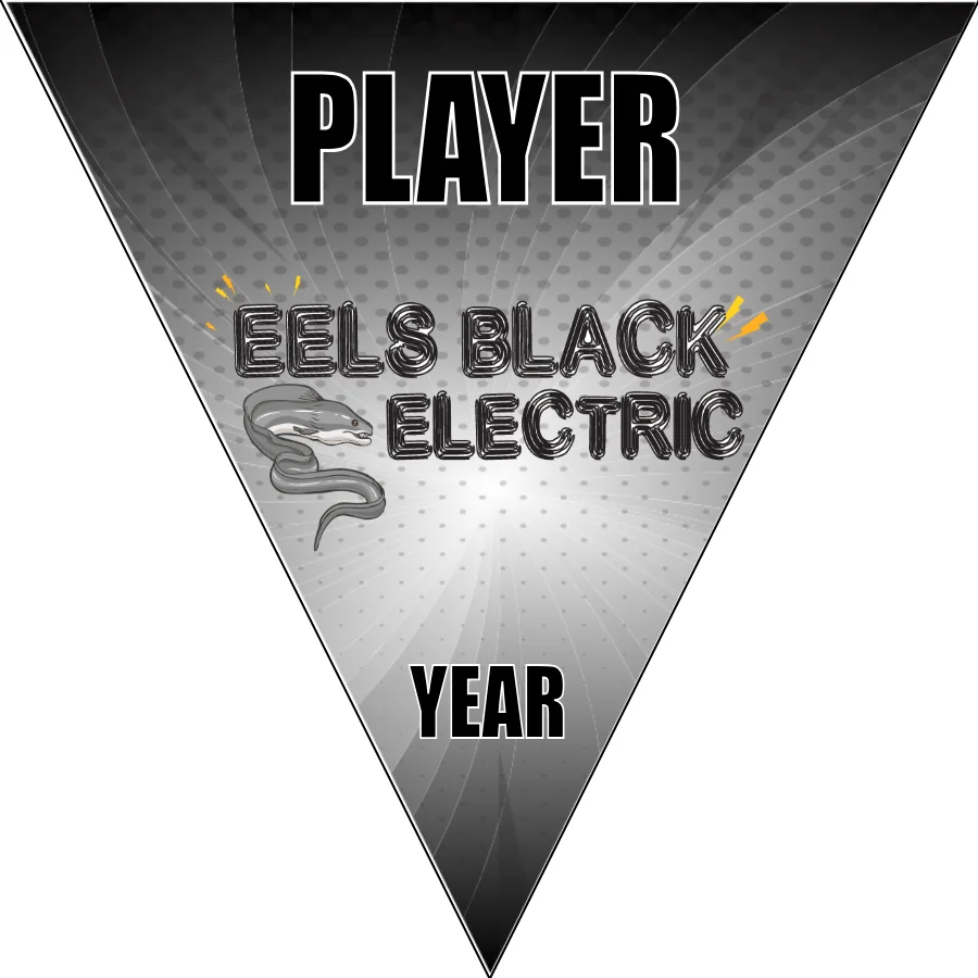 Eels Black Electric Soccer Banner-nike-soccer-banner-picture