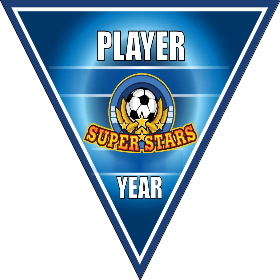 Super Stars (2) Soccer Banner-nike-soccer-banner-picture