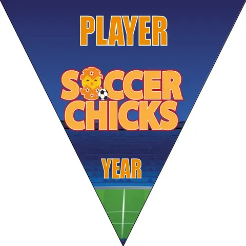 Soccer Chicks Soccer Banner-soccer-banner-size-picture
