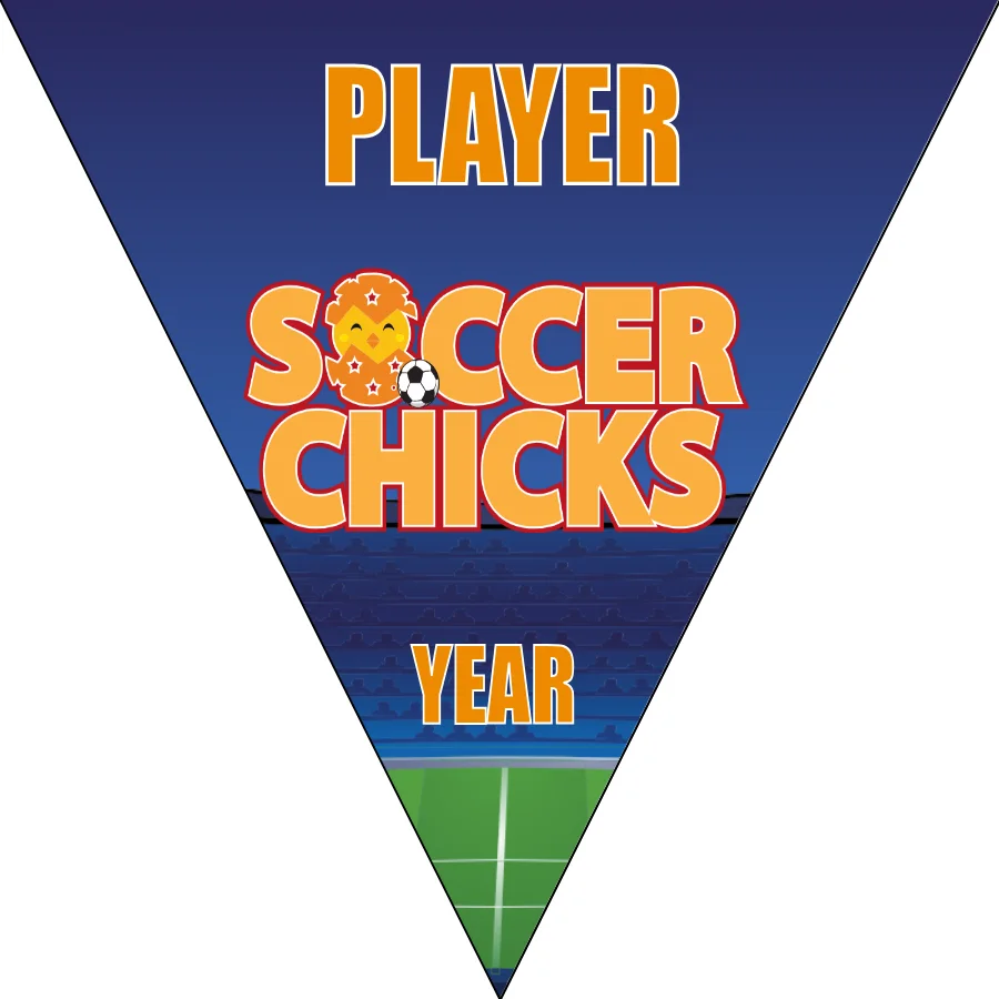 Soccer Chicks Soccer Banner-soccer-banner-size-picture