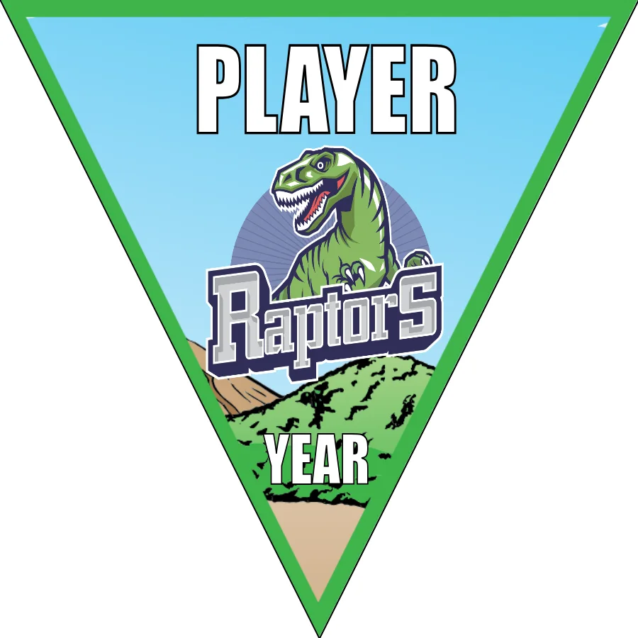 Raptors Soccer Banner-soccer-banner-picture