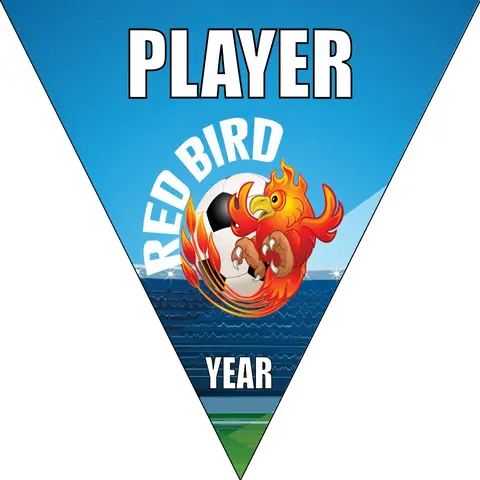 Redbird Soccer Banner-soccer-banner-pole-kit-picture