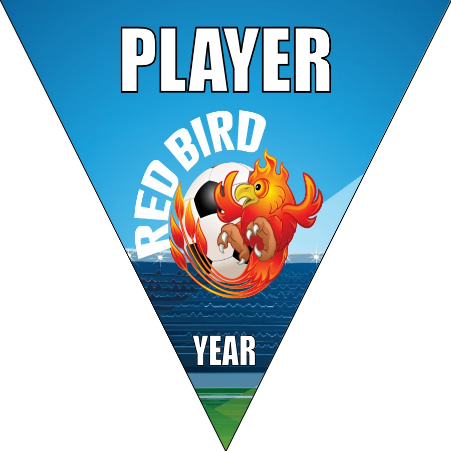Redbird Soccer Banner-soccer-banner-pole-kit-picture