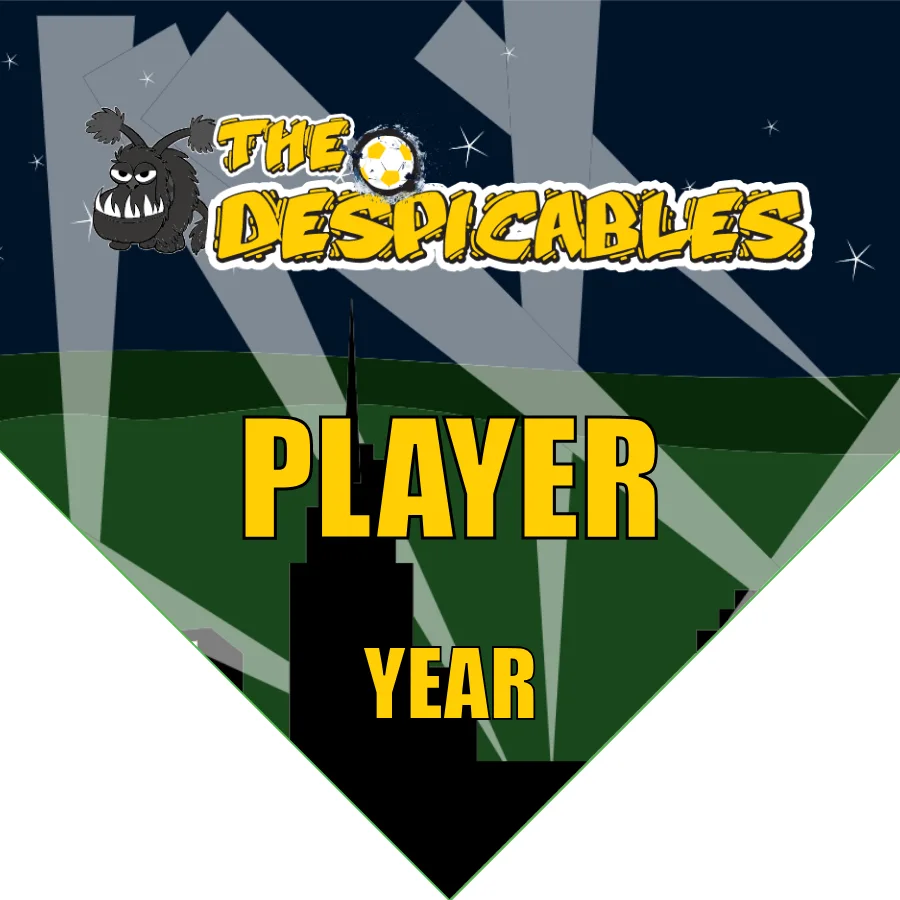 The Despicables 2 Soccer Banner-soccer-banner-stand-pvc-picture