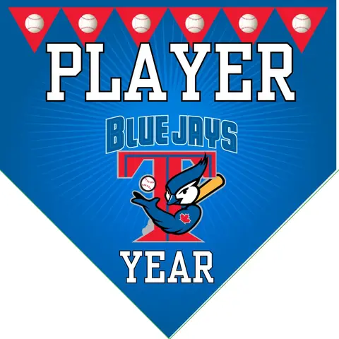 Blue Jays Baseball Banner-baseball-banner-quotes-images