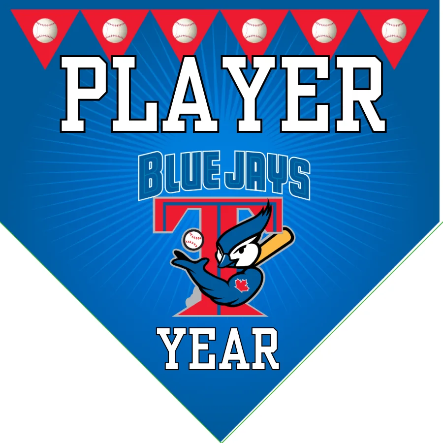 Blue Jays Baseball Banner-baseball-banner-quotes-images